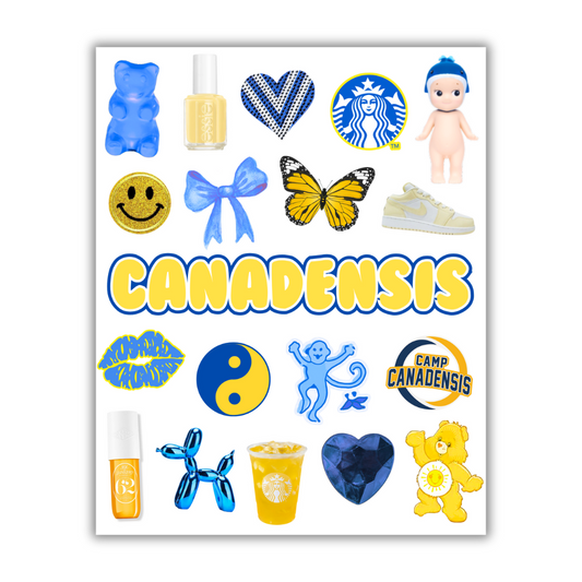 GIRLS BLUE/YELLOW CAMP STICKER SHEET