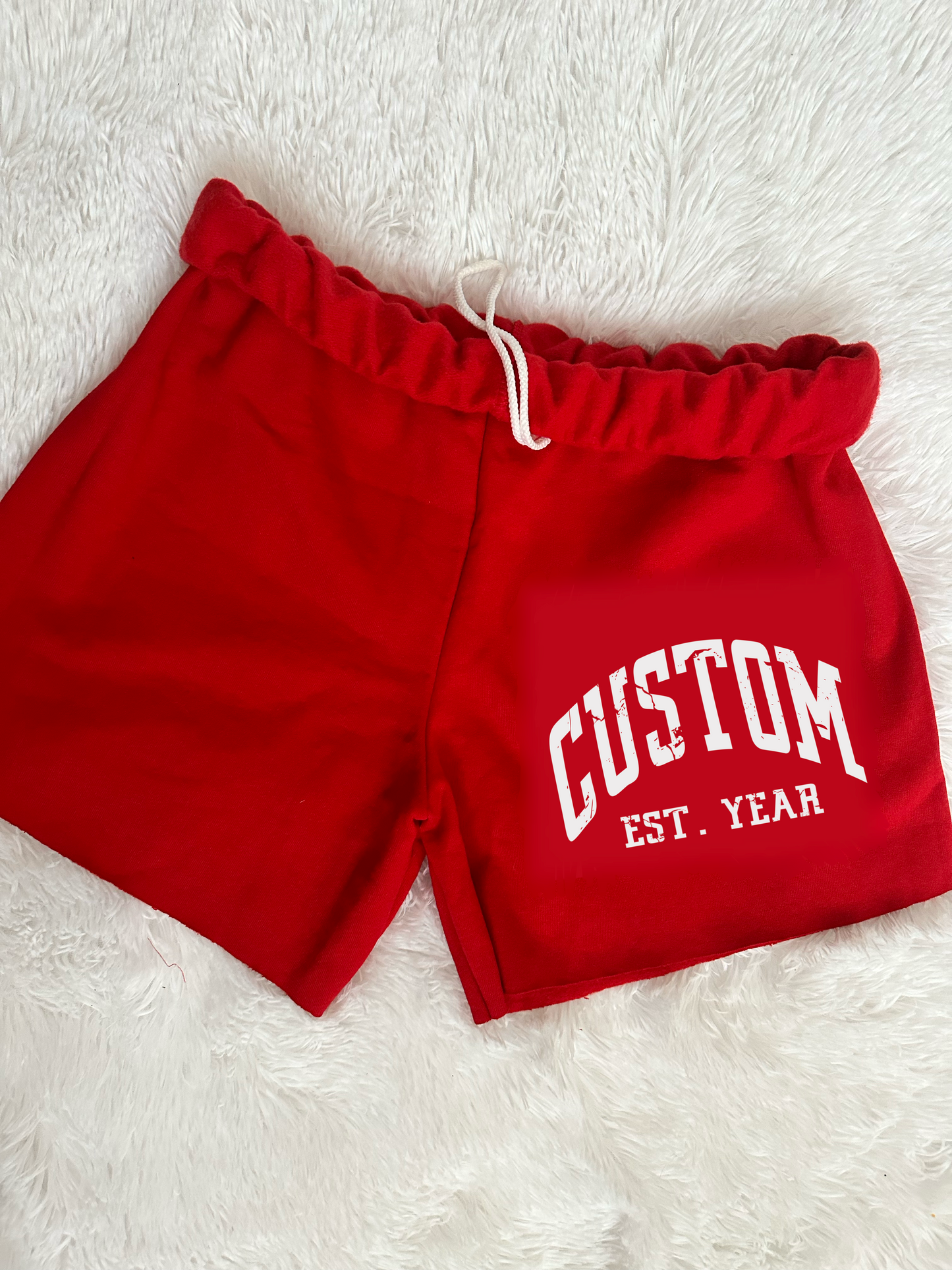 CUSTOM COLLEGE- Vintage Sweatshorts