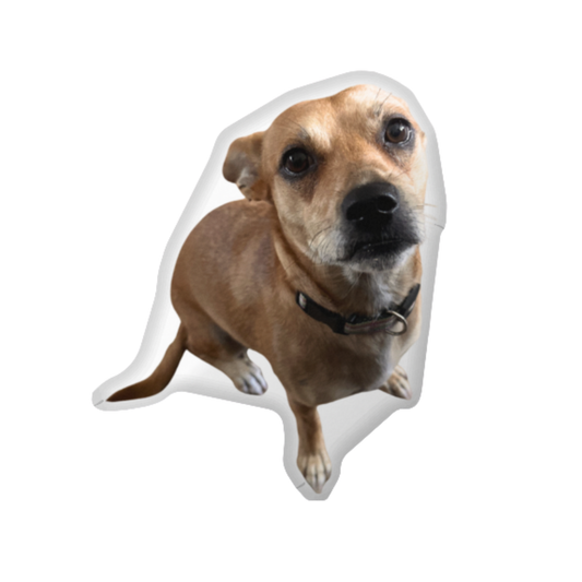 Camp PET Pillow