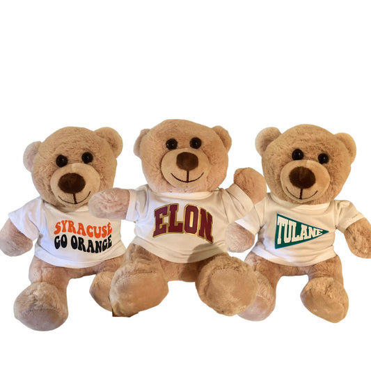 Custom College Teddy Bear | Custom College Gift | Bed Party Gifts | Bed Party | Graduation Gift | Custom Teddy Bear |College Acceptance Gift