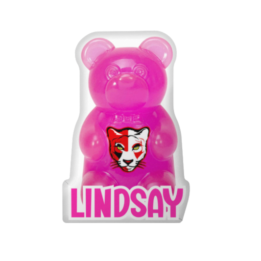 Camp Squishy Bear Pillow